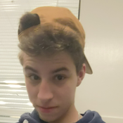 David