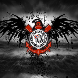 marcos molrão