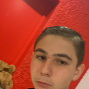 Gaydon Vogel